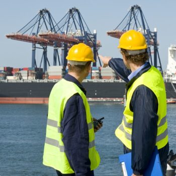 Two dockers in discussion, pointing at the unloading operations of a huge container ship